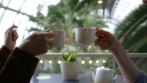 Friends drink tea in a cafe Stock Footage 100146223