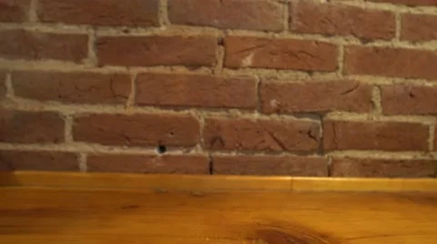 Friends drinking beer at a bar and tossing  Stock Footage 67292041