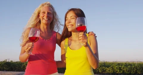 Friends drinking red rose wine at vineyard wine tasting - women having fun Video stock 86339338