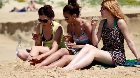 Friends drinking wine and talking Stock Footage 22681320