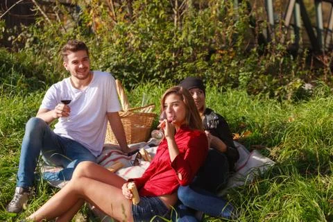 Friends drinking wine Stock Photos