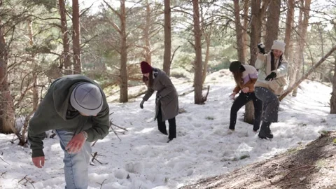 Friends engaging in fun snowball fight in winter forest Stock-Footage 317106975