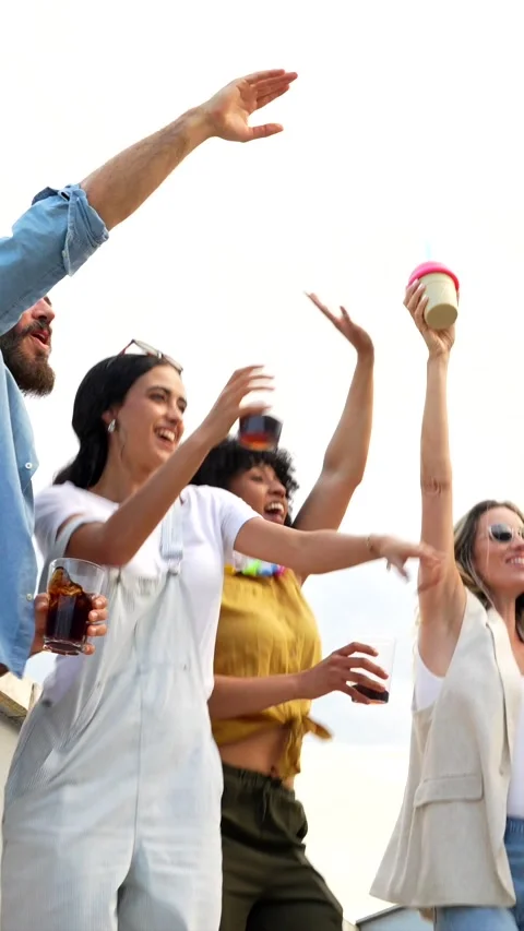 Friends enjoying rooftop party, drinking and dancing Stock Footage 311801048