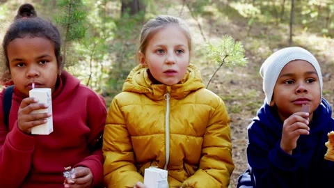 Friends enjoying snacks in the forest while exploring nature on a sunny day in Stock Footage 311813406