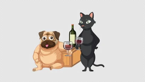 FRIENDS Stock Footage 241945896