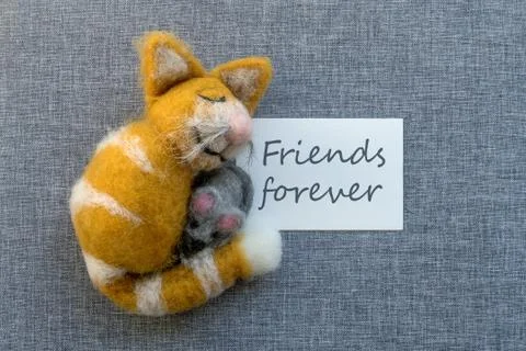 Friends forever Stock Photos