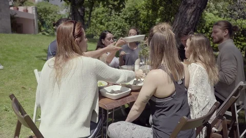Friends gathering around table in backyard Stock Footage 108472836