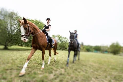 Friends Going For A Ride Stock Photos
