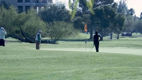 Friends Golfing Stock Footage 169260042