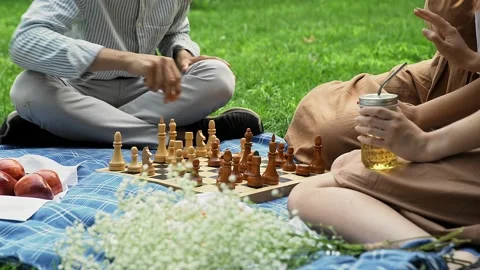 Friends had a picnic and started playing chess in nature in the summer Stock Footage 158323147