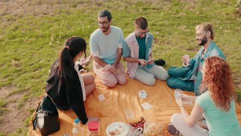 Friends Having Fun at a Picnic Stock Footage 313813021