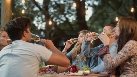 Friends having a toast at small intimate outdoor garden party Stock Footage 85654775