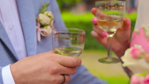 Friends Having Wine Toasting Clinking Wine Glasses Stock Footage 71990145