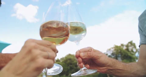 Friends Having Wine Toasting Clinking White Wine Glasses. People Sophisticated Stock-Footage 203948294