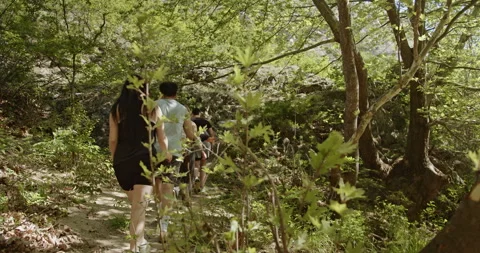 Friends Helping Each Other Climb a Steep Section of Trail While Hiking Through a Stock-Footage 312017183