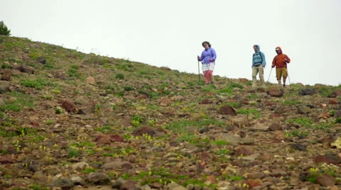Friends hike together Stock Footage 59567912