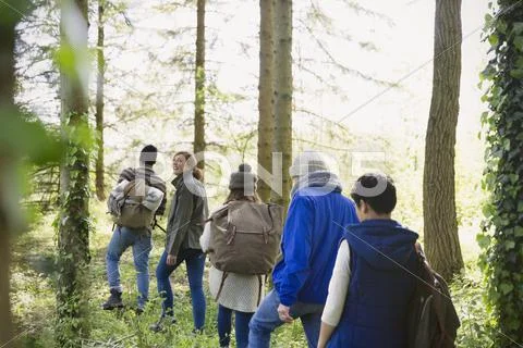 Friends hiking in woods Stock Photos