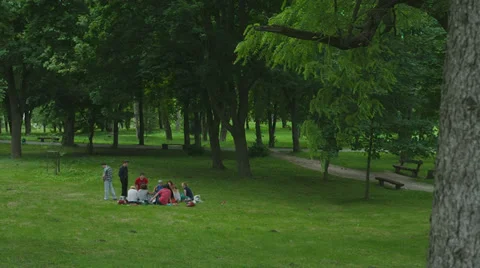 Friends on the lawn in park resting Stock Footage