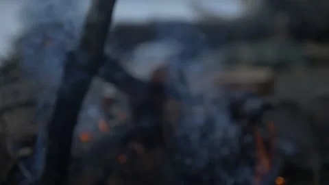 Friends making fire at the Lake Video stock 137597685