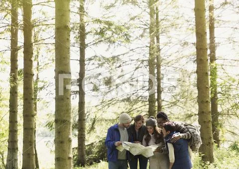 Friends with map hiking in woods Stock Photos
