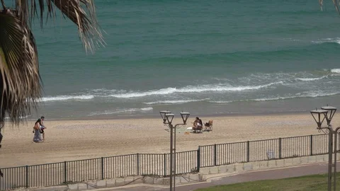 Friends meet at the beach Stock Footage 111053191