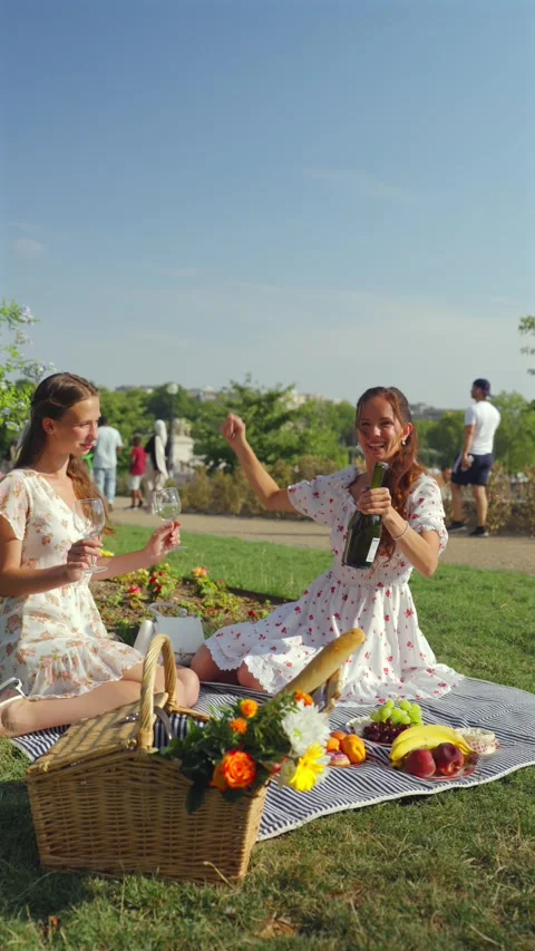 Friends Opening Sparkling Wine at a Paris Park Picnic 스톡 동영상 344578053