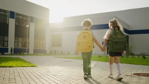 Friends Or Siblings Going To School In Sunny Morning, Back View Of Little Boy Stock Footage 249021754