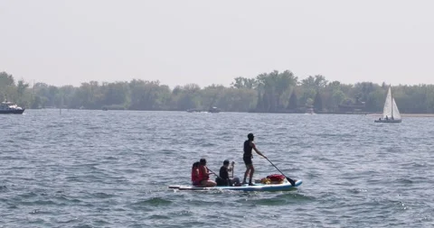 Friends paddle on shared board on sunny lake near forested shore Stock Footage 321035575