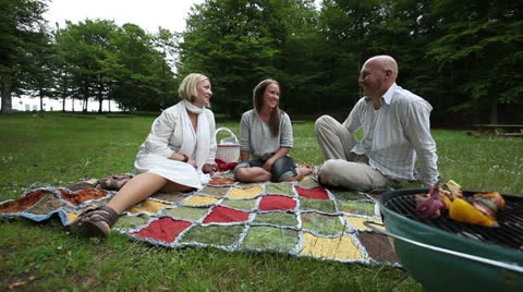 Friends in Park with BBQ Meal Stock Footage 24696415
