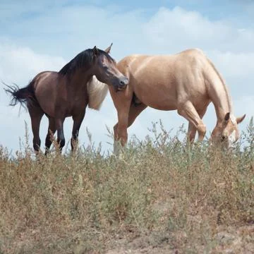 Friends Stock Photos
