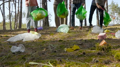Friends pick up trash in the forest. Focus on the ground and people. Wide angle, Stock Footage 116550954