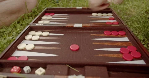 Friends Playing Backgammon in the Park on a Sunny Summer Day Stock Footage 306970980