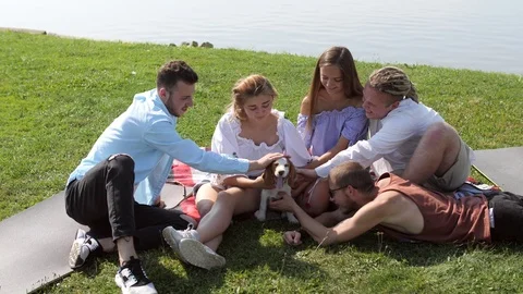 Friends playing gently and stroking a friendly beagle dog near the lake Stock Footage 80651357