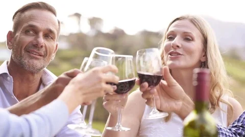 Friends raising toast with wine Stock Footage