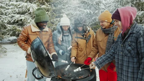 Friends Roasting Marshmallow on Fire in Winter Forest Stock Footage 166884892
