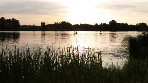 Friends sail on a SUP boards in a rays of rising sun. Stock Footage 134782979