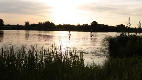 Friends sail on a SUP boards in a rays of rising sun. Stock Footage 134782993