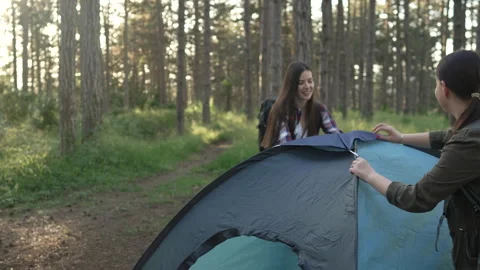 Friends setting up tent during camping trip in the forest Stock Footage 335842915