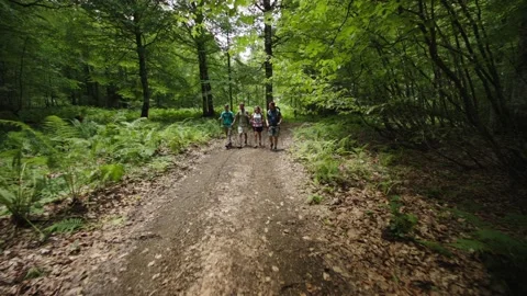 Friends shoulder to shoulder in one line confidently walk along the road in Stock Footage 208887397