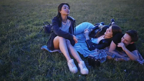 Friends sit on the grass on a blanket, communicate, smile, laugh. Summer evening 動画素材 202312873