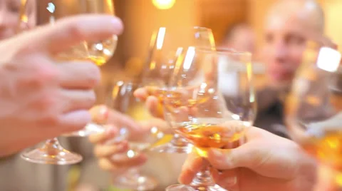 Friends sitting at a table in a restaurant cheer their drinks Stock Footage 33848331