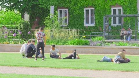 Friends spending time together Vidéo 81000579