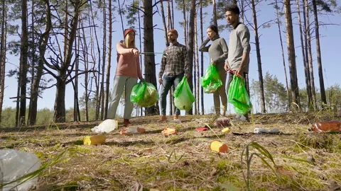 Friends standing in the forest and looking at the garbage on the ground. Stock Footage 116731199