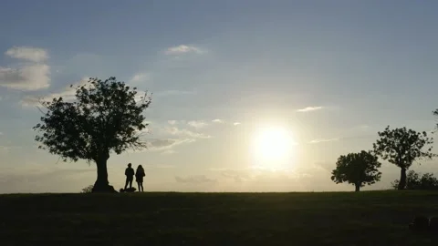 Friends standing in spring field looking at sunset, drone shot Stock Footage 130905257