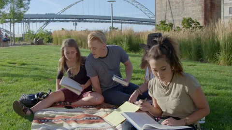 Friends study together Stock Footage 53557147