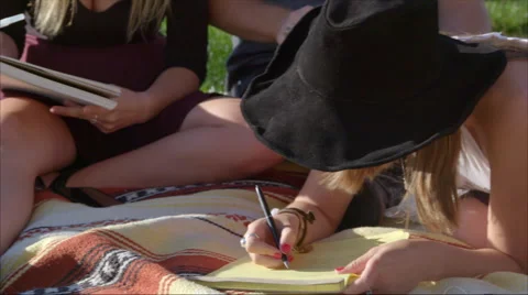 Friends studying at the park Stock Footage 53556122