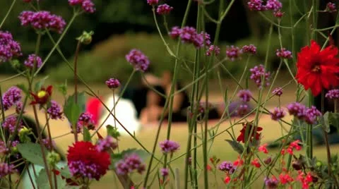 Friends sunbath in the park pull focus through the flowers Stock Footage 10917395