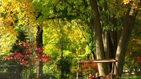 Friends on a Swing 375 Stock Footage 560000