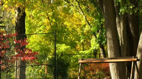 Friends on a Swing 376 Stock Footage 560032
