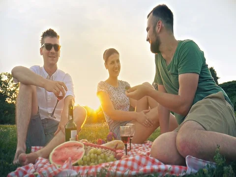 Friends talking and laughing having picnic in park slow motion Stock Footage 81994893